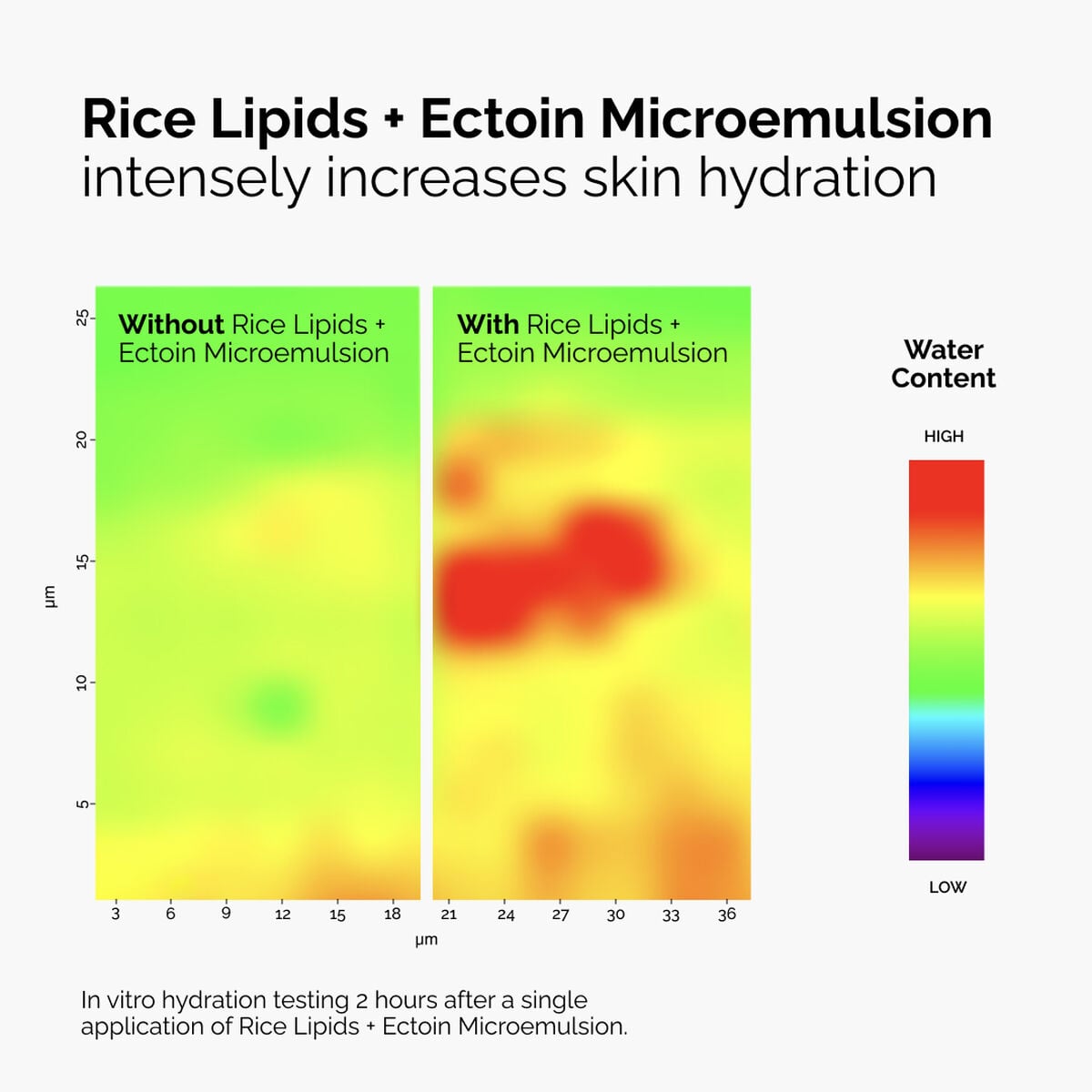 Rice Lipids + Ectoin Microemulsion Curated Care Set